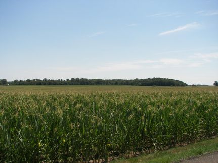 Timberland Property in Cass County, Indiana