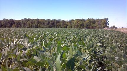 Farm and Ranch in Wabash County, Indiana