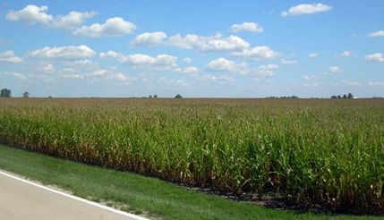 Farm and Ranch in LaSalle County, Illinois