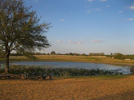 Farm and Ranch in Collin County, Texas