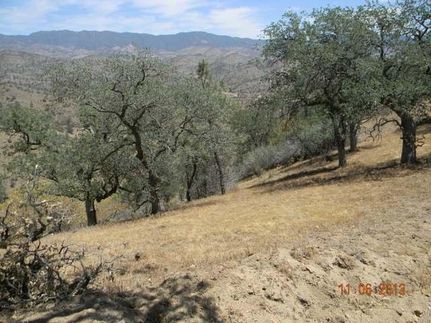 Farm and Ranch in Kern County, California