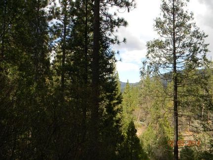 Farm and Ranch in Fresno County, California