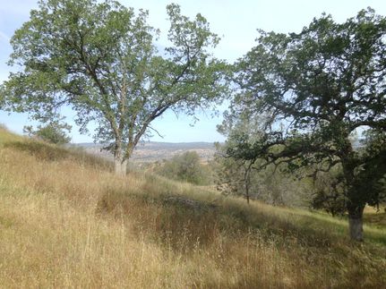 Farm and Ranch in Madera County, California