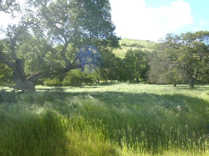 Land in Monterey County, California