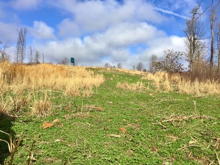 Undeveloped Land in Trigg County, Kentucky