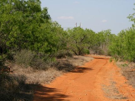 Farm and Ranch in Dimmit County, Texas