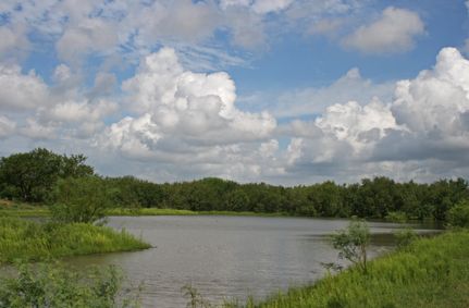 House in Frio County, Texas