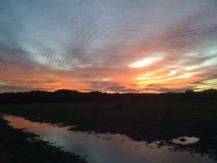 Land in Refugio County, Texas