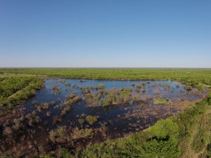 Undeveloped Land in Zavala County, Texas
