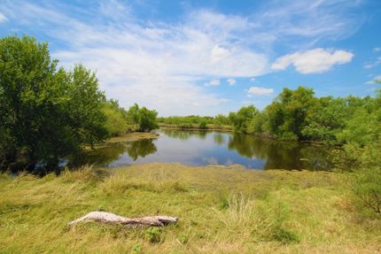 Undeveloped Land in Dimmit County, Texas