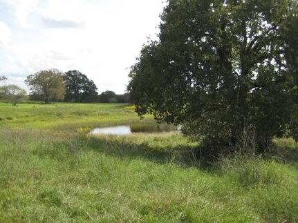 Farm and Ranch in Leon County, Texas
