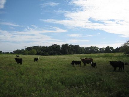 Farm and Ranch in Robertson County, Texas