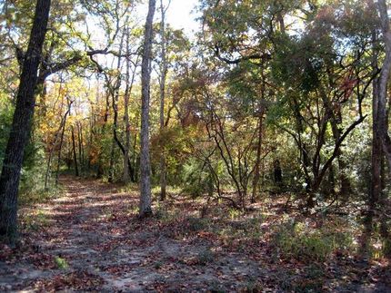 Farm and Ranch in Leon County, Texas