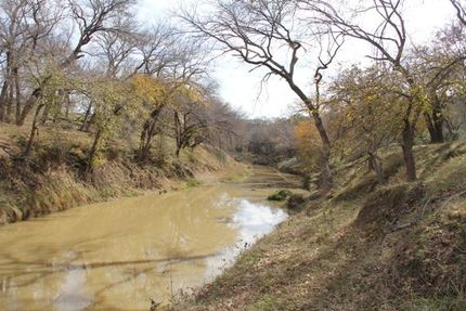 Timberland Property in Mills County, Texas