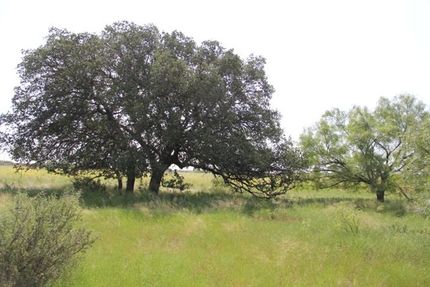 Farm and Ranch in Coleman County, Texas