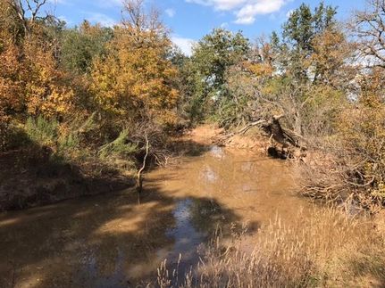 Farm and Ranch in Coleman County, Texas