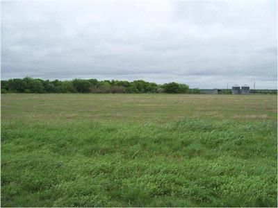 Farm and Ranch in Wilson County, Texas