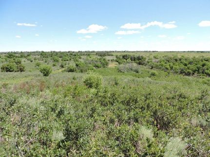 Land in King County, Texas