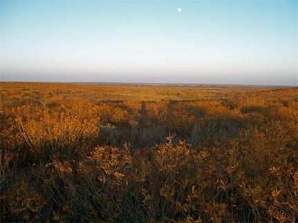 Land in Frio County, Texas