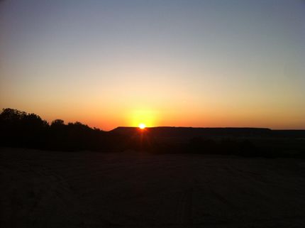 Farm and Ranch in Taylor County, Texas