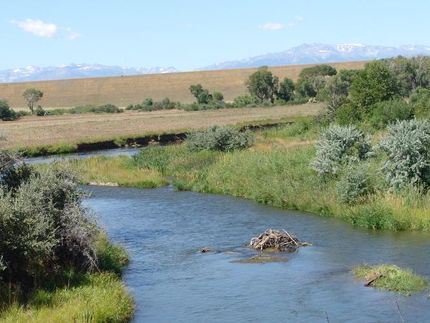 Farm and Ranch in Carbon County, Montana