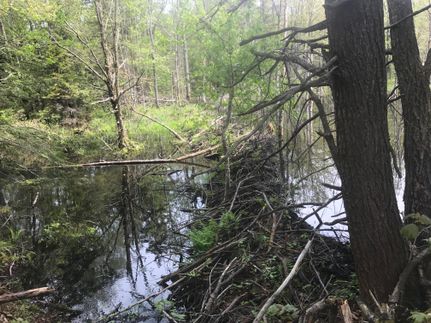 Commercial Property in Oswego County, New York