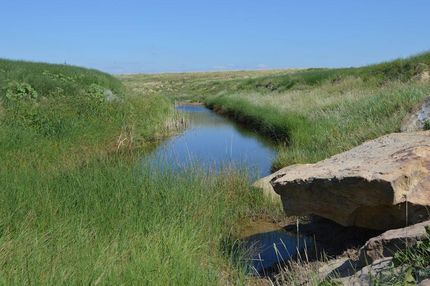 Farm and Ranch in Bent County, Colorado