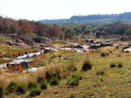 Timberland Property in Gillespie County, Texas
