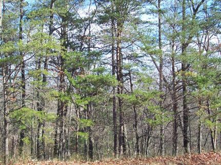 Land in Habersham County, Georgia