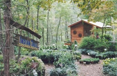 Land in Fannin County, Georgia