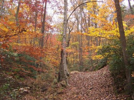 Land in Hall County, Georgia