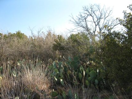 House in Llano County, Texas