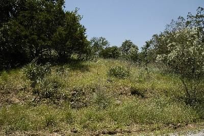 Farm and Ranch in Llano County, Texas