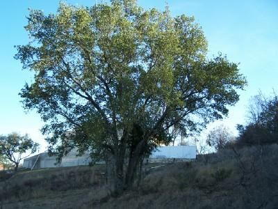 Farm and Ranch in Llano County, Texas