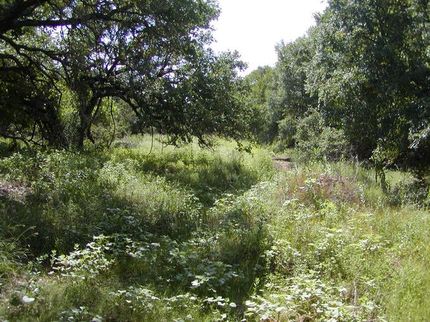 Land in Llano County, Texas