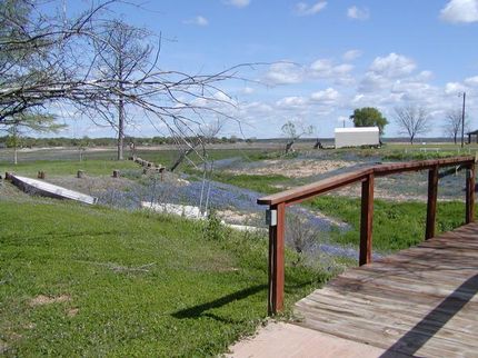Timberland Property in Llano County, Texas