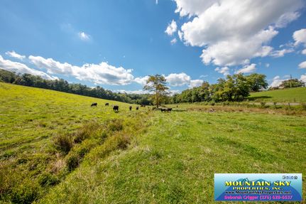 Farm and Ranch in Carroll County, Virginia
