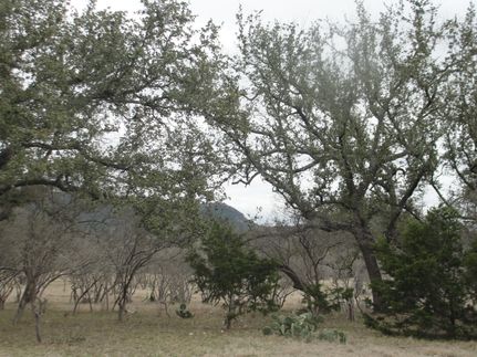 Riverfront Property in Edwards County, Texas