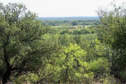 Land in Young County, Texas