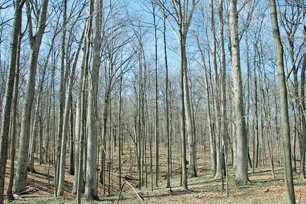 Land in Edgar County, Illinois