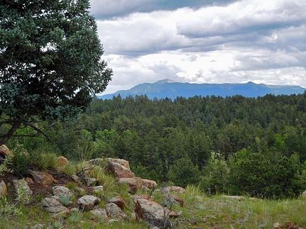 Farm and Ranch in Teller County, Colorado