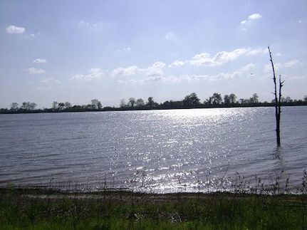 Land in Wilkinson County, Mississippi