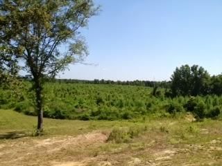 Land in Amite County, Mississippi