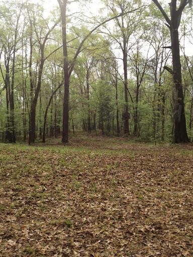 House in Adams County, Mississippi