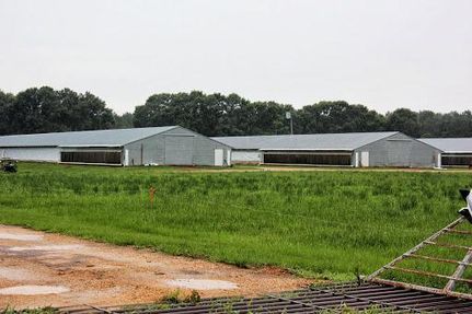 Land in Jefferson Davis County, Mississippi