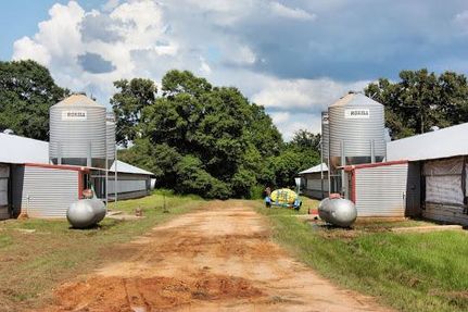 Land in Covington County, Mississippi