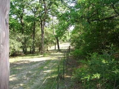Farm and Ranch in Leon County, Texas