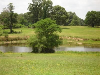 Farm and Ranch in Leon County, Texas