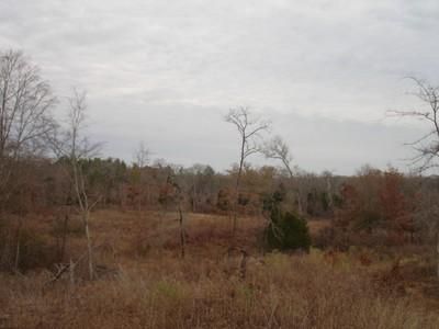 Farm and Ranch in Henderson County, Texas