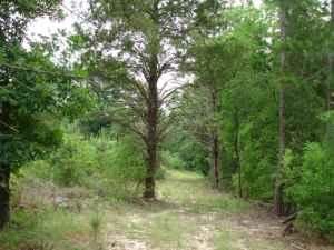 Land in Freestone County, Texas